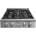 FORTE 30 4 Sealed Burners Stainless Steel Metal Natural Gas Rangetop in Silver
